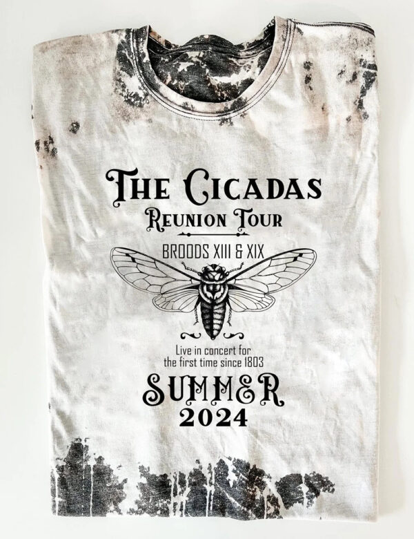 The Cicadas Reunion Tour Shirt 1 1
