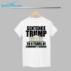 White House Sentence Trump To 4 Years Of Community Service Shirt 1