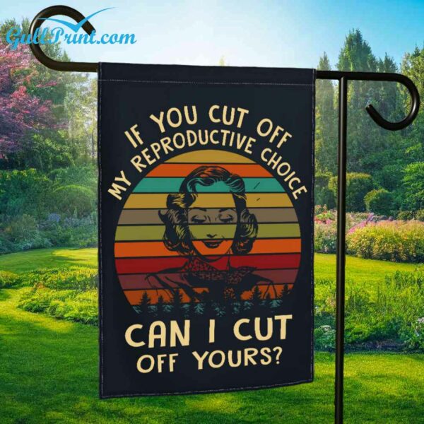 If You Cut Off My Reproductive Choice Ill Cut Yours Off Flag 4