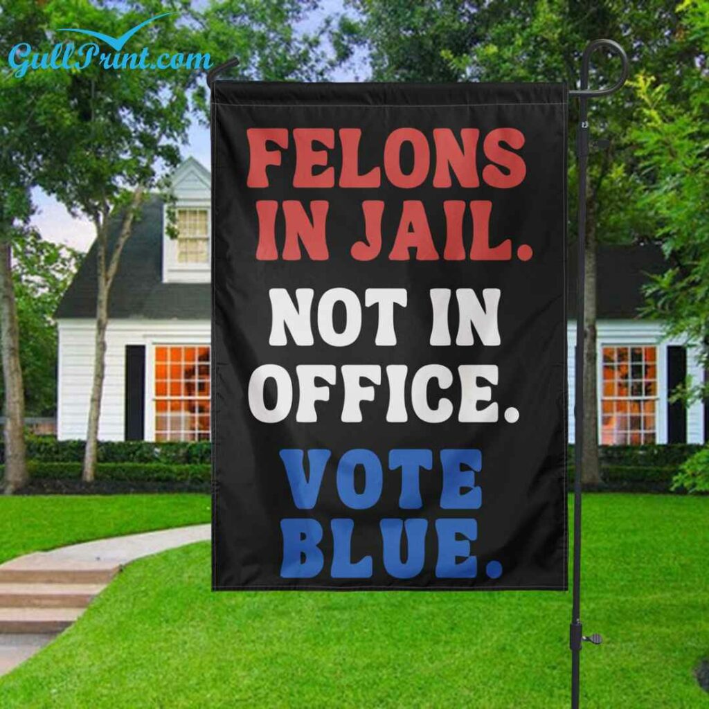 Felons In Jail Not In Office Vote Blue Flag 2