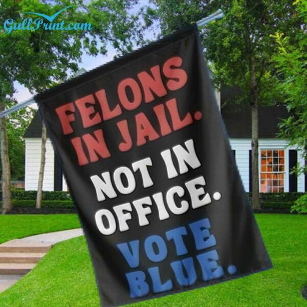 Felons In Jail Not In Office Vote Blue Flag 3