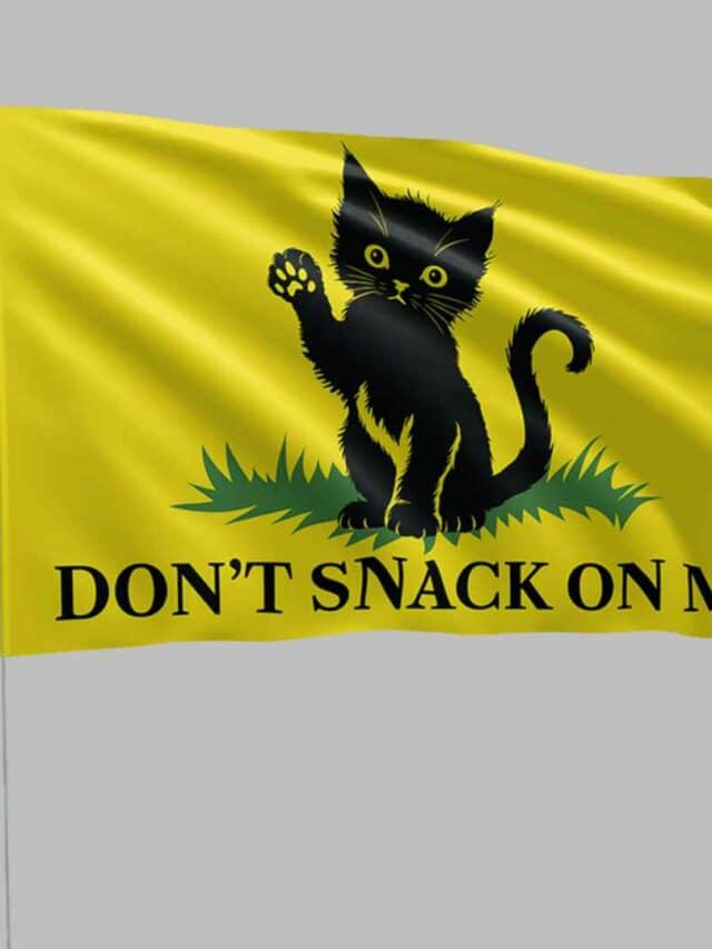 Black Cat Don’t Snack On Me Flag