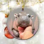 Cute Baby Hippo Moo Deng Bouncy Pig in Thai Hippopotamus Ornament
