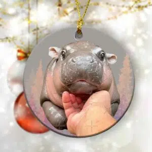 Cute Baby Hippo Moo Deng Bouncy Pig in Thai Hippopotamus Ornament 1